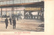 CPA AFRIQUE DU SUD PARK STATION JOHANNESBURG - Afrique Du Sud