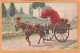 Rome Types Transport Wine Italy Old  Postcard Mailed - Trasporti