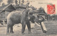CPA INDE ELEPHANT CARRYING TIMBER - India