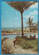 Moçambique - Lourenço Marques. Jardim E Piscina Do Hotel Polana - Mozambique