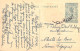 AGRICULTURE - Elevage Du Bétail - Carte Postale Ancienne - Breeding