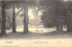 BELGIQUE - Bruxelles - Chalet Robinson Au Bois - Carte Postale Ancienne - Forêts, Parcs, Jardins