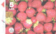 Latvia:Used Phonecard, Lattelekom, 5 Lati, Berries, Strawberry, 2006 - Latvia