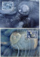 LIECHTENSTEIN CARTE MAXIMUM DES N°1899 / 1901 ART PHOTOGRAPHIQUE LA GLACE AVEC OBL VADUZ 11-12- 2019 - Photographie