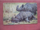 Rhinoceros  -Signed Artist.         ref 6084 - Rhinoceros