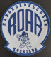 Handboldklubben Roar Roskilde Denmark Handball Club PATCH - Handball