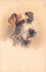 CHIENS - Chasse - Illustration AD? - Carte Postale Ancienne - Dogs