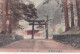 POSTCARD JAPAN - FUTAARA TEMPLE , NIKKO - Hiroshima