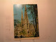 New York City - St Patrick's Cathédral - Iglesias