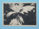 BT15 WALLIS ET FUTUNA  BELLE  CARTE  1949  SURCHARGE HEXAGONAL MATA UTU  A GAP   ++AFF. PLAISANT +++ - Storia Postale