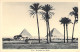 EGYPTE - Pyramides De Giséh - Carte Postale Ancienne - Cairo