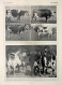 Races A Triple Aptitude/Race Normande. Fronte/retro. Immagine 1927 - Chèques & Chèques De Voyage