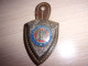 Insigne Sapeurs Pompiers - Sauver Ou Mourir - SP - Blason - Feu - Firemen