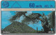Aruba - Setar - L&G - Hoolberg - 405B - 05.1994, 60U, Used - Aruba