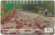 Christmas Island - Telstra (Anritsu) - The Annual Red Crab Migration - 22.500ex, 20$, Mint - Islas Christmas