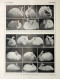 Lapins Anagoras/lapins D'amateurs. Fronte/retro. Immagine 1927 - Chèques & Chèques De Voyage