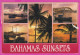 292381 / Bahamas Sunsets - Palm Ship Bridge PC USED (O) 1992 - 40c Birds Animals Smooth-billed Ani (Crotophaga Ani) - Bahamas