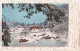 NEW YORK / CENTRAL PARK / BRIDGE OVER LAKE CENTRAL / WINTER SCENE 1904 - Central Park