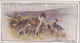 Dogs, Scenic Background 1925 - Players Cigarette Card - 7 Smooth Collies - Player's