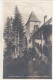 C9720) FRIESACH I. Kärnten - Ruine PETERSBERG - Schloßhof Mit Bergfried - Tolle Alte FOTO AK - Frank Verlag Graz - Friesach