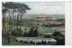 On The Downs Near WORTHING - Valentine 52856 - Shepherd And Flock Of Sheep - Worthing