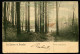 CPA - Carte Postale - Belgique - Les Environs De Bruxelles - Foret D'Auderghem (CP22985) - Auderghem - Oudergem