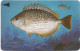 Bahrain - Batelco (GPT) - Fish Of Bahrain - Streaked Rabbitfish - 39BAHQ (Dashed Ø), 1996, 25Units, Used - Baharain