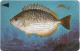Bahrain - Batelco (GPT) - Fish Of Bahrain - Streaked Rabbitfish - 39BAHQ (Normal 0, Round Top ''3''), 1996, 25U, Used - Baharain