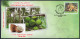 India, 2021, Ezthomozhy Tall COCONUT, Tree, Food, Special Cover, Nature, Fruit, Plant, C23 - Alimentation