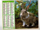 Almanach Des P.T.T. 1984 Chatons Et Lapin - Complet Région Nord - Tamaño Grande : 1981-90