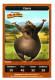 DreamWorks >Animation Skg > Carrefour > 10 Cartes > Réf T V 13/2/11 - Autres & Non Classés