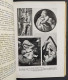 Il Bambino Nell'Arte E Nella Vita - M. Casalini - Ed. IEMIA - 1941                                                       - Kunst, Antiquitäten