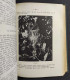 Il Libro Degli Uccelli Italiani - F. Caterini - L. Ugolini - Ed. Diana - 1938                                            - Pets