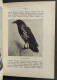 Caccia - Cani E Fucili - Il Libro Del Cacciatore - L. Ugolini - Ed. Olimpia - 1941                                       - Caccia E Pesca