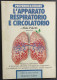 L'Apparato Respiratorio E Circolatorio - A. Poletti - Ed. Musumeci - 1994                                                - Medicina, Psicología