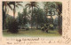Sao Paulo Jardim Publico Cachet Albis Zürich 1908 - São Paulo
