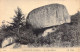 FRANCE - 29 - HUELGOAT - Le Champignon - Carte Postale Ancienne - Huelgoat