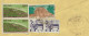 Indien India 1979 1984 1994 Einschreiben 50 P, 2x Michel Nr. 986 Forest Campaign + 1423 Sanchi Stupa, Siehe 3 Scans - Briefe U. Dokumente