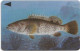 Bahrain - Batelco (GPT) - Fish Of Bahrain - Grouper - 39BAHS (Normal 0, Flat Top ''3''), 1996, 200.000ex, Used - Bahrein