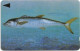 Bahrain - Batelco (GPT) - Fish Of Bahrain - Spanish Mackerel - 40BAHH (Dashed Ø), 1996, 50Units, Used - Baharain
