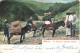Mexico En Camino à Nuestro Pueblo  Cachet Basel 1904 Mullet Caravane ânes Maultier Mújol - Mexico