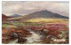 DARTMOOR - The Lyd, Near Lydford - G.H. Jenkins - Tuck Oilette 7633 - Dartmoor