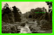 BELFAST, IRLANDE DU NORD - VIEW IN BOTANIC GARDENS - THE SIGNAL SERIES - - Belfast