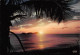 ¤¤   -   GUADELOUPE  -  Lot De 6 Cartes   -   Couchers De Soleil    -   ¤¤ - Autres & Non Classés