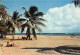 Delcampe - GUADELOUPE -  Lot De 11 Cartes - Boeufs, Canne à Sucre, Plage De La Caravelle, Deshaies, Fruits, Soufrière, Ste-Anne.... - Autres & Non Classés