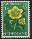 Plaatfout Groen Puntje In Het Bovenste Bloemblad 1952 Zomerzegels Bloemen 5 + 3 Ct Groen / Geel NVPH 584 PM Ongestempeld - Errors & Oddities