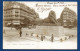 1903 - PARIS - LE LION DE BELFORT   - FRANCE - Statues