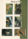 FOLDER CON 6 TARJETAS DE SURAFRICA DE AGUILAS (EAGLE-AGUILA) NUEVAS-MINT - Eagles & Birds Of Prey