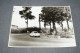 RARE Grande Photo Ancienne 15/05/1960 Originale, 24 Cm. Sur 18 Cm.voiture De Course. - Automobiles