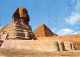 Delcampe - Egypte Lot De 29 Cartes Toutes Scannées - Verzamelingen & Kavels